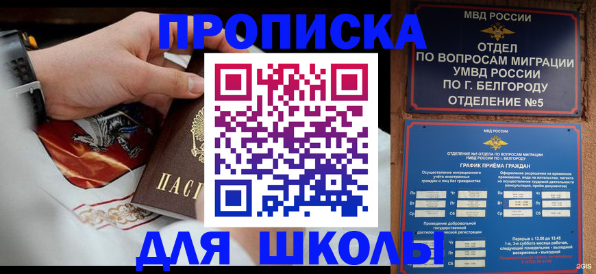 пропишу в квартире в Павловском Посаде